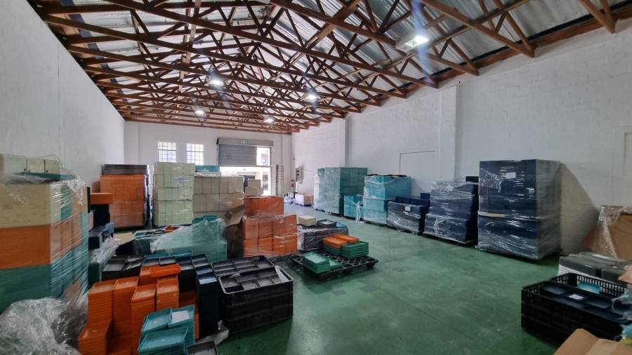 To Let commercial Property for Rent in Observatory Western Cape